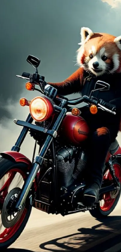 Red panda riding a motorcycle on open road.