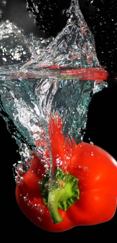 Red bell pepper splashing in clear water on a black background.