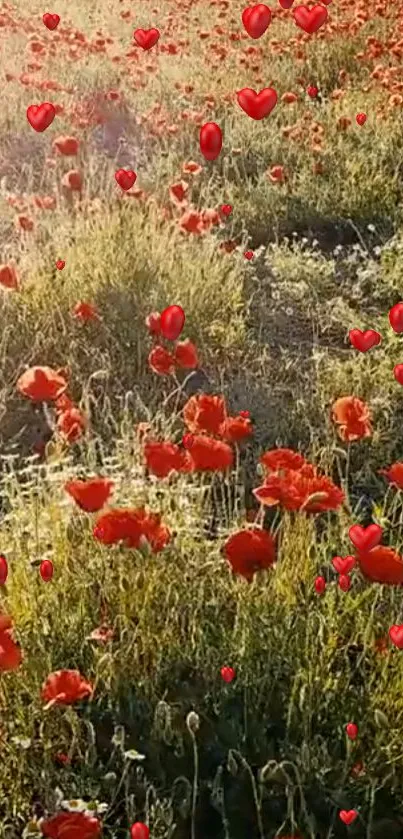 Vibrant red poppy field with sunlight and hearts.