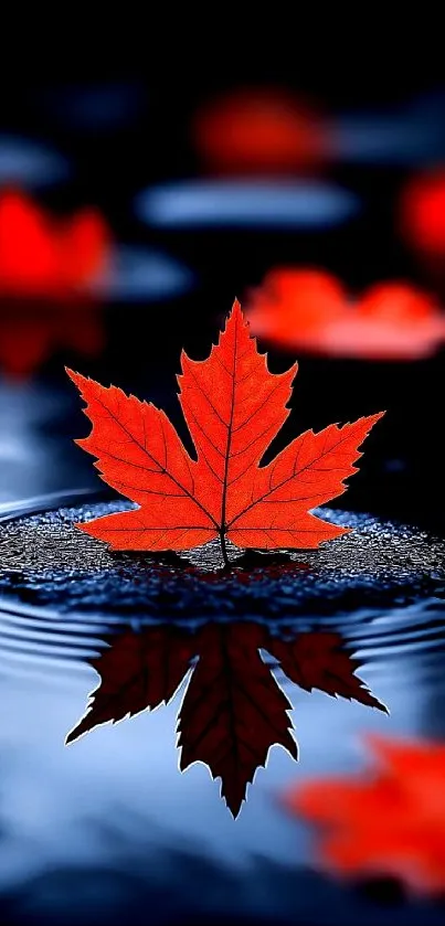 Red Reflection Autumn Live Wallpaper