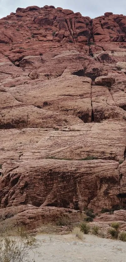 Red rock landscape with rugged textures.