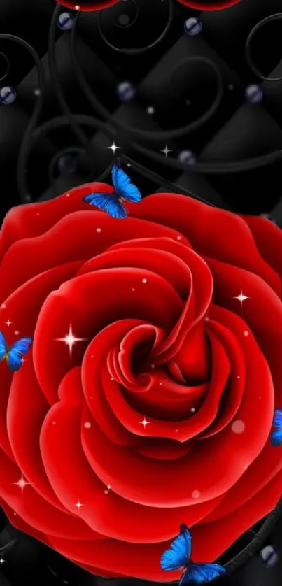 Red rose with blue butterflies on a dark background.