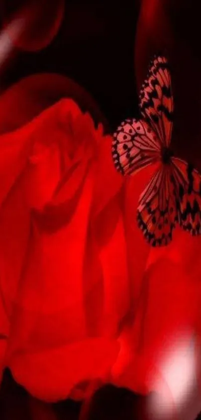 Vivid red rose with a butterfly in artistic mobile wallpaper design.