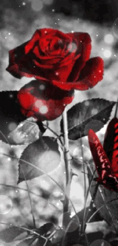 Red rose and butterfly on grayscale background in mobile wallpaper.