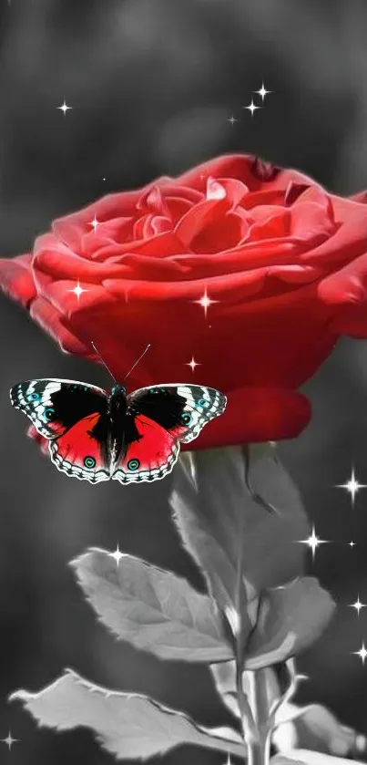 Red rose with butterfly on grayscale background.