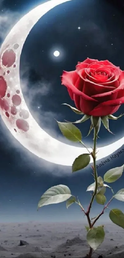 Red rose with crescent moon on a dark night sky background.