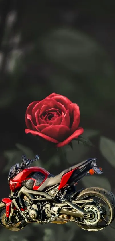 Wallpaper of a red rose with a motorcycle in black background.