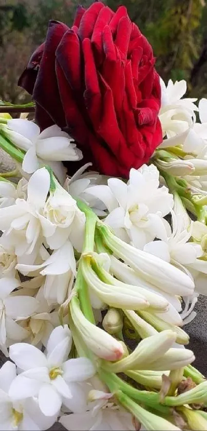 Red rose and white flowers on a stone surface.