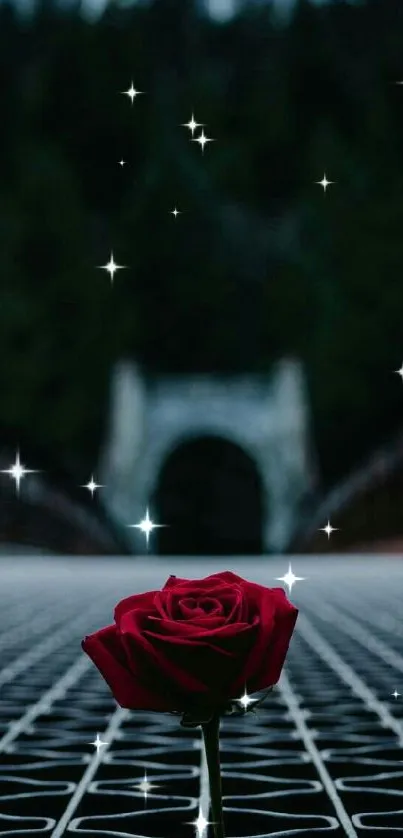 Red rose on bridge with dark forest background, mobile wallpaper.