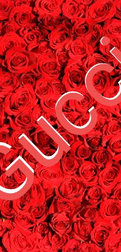 Vibrant red rose wallpaper with Gucci text in the center.