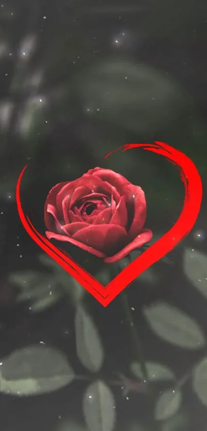 Elegant red rose and heart design on a dark background.