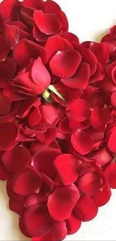 Heart-shaped arrangement of red rose petals on a light background.