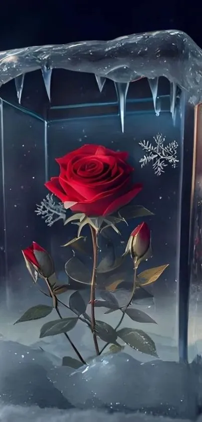 Red rose encased in a frozen block with snowflakes.