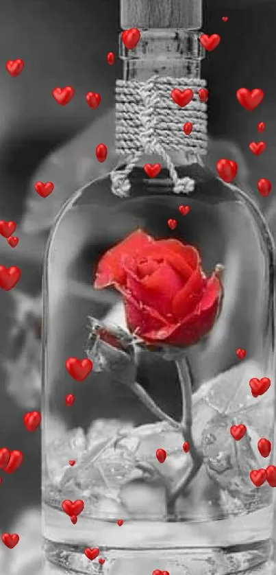 Red rose enclosed in a glass bottle on grayscale background.