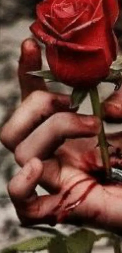 Hand holding a vibrant red rose with a dramatic background.