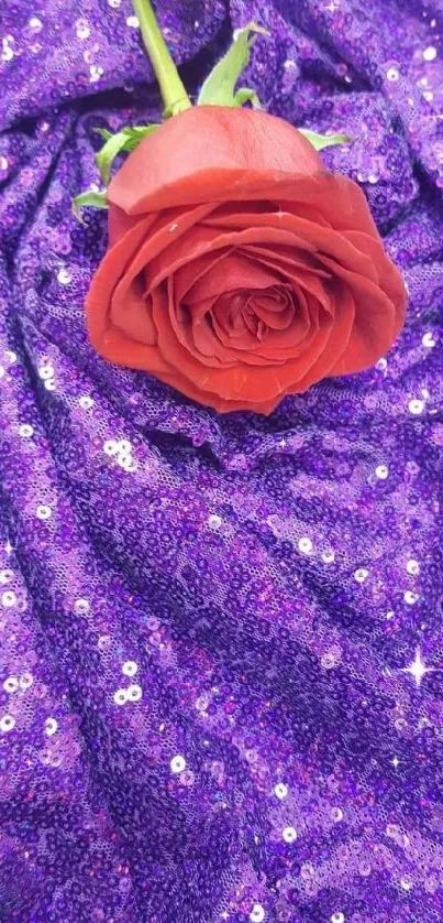 Red rose on purple glitter sequined fabric mobile wallpaper.