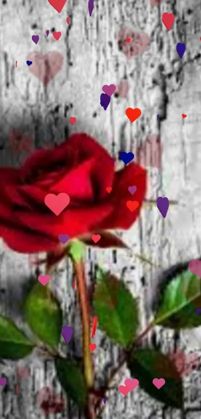 Red rose with heart motifs on rustic wood background wallpaper.