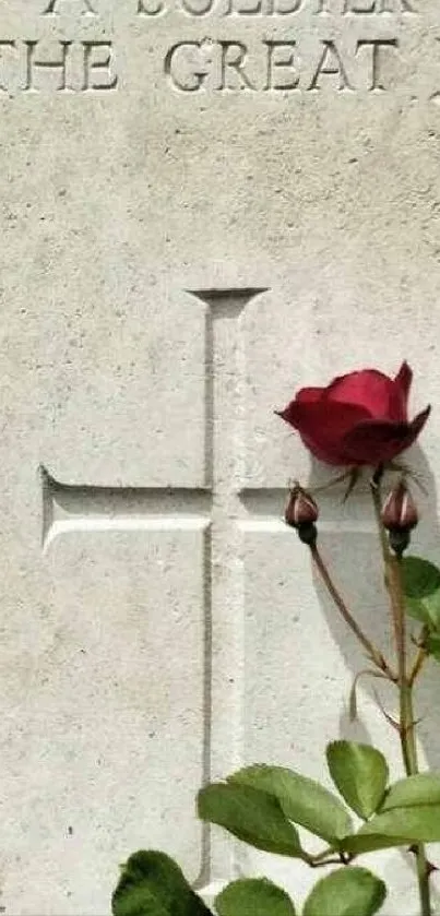 Red rose against a stone cross on a grave.