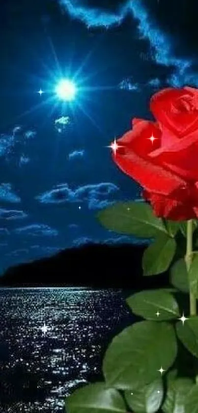 A vibrant red rose with a dark blue moonlit sky background.