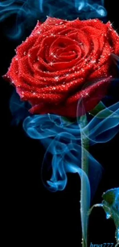 Red rose with blue smoke background for mobile wallpaper.