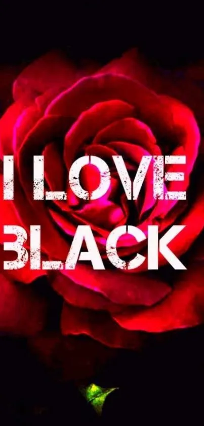 Vibrant red rose with bold white text "I Love Black" on a dark background.