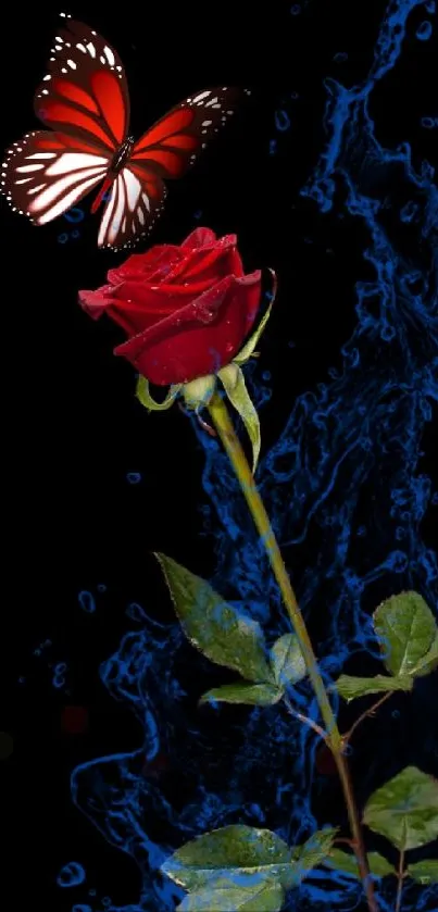 Beautiful red rose with butterfly on black background.