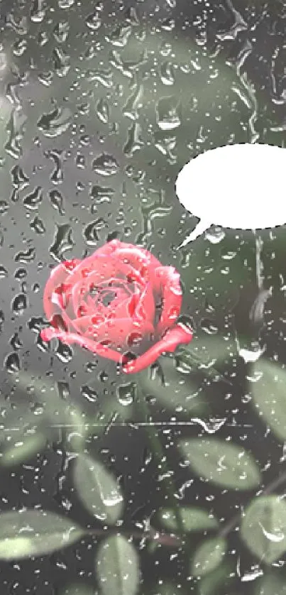 Mobile wallpaper with a red rose and blank speech bubble.