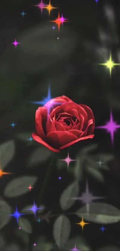 Mobile wallpaper with red rose and colorful stars.