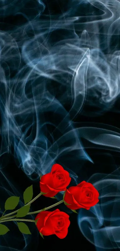 Vibrant red roses with swirling smoke on a dark background.