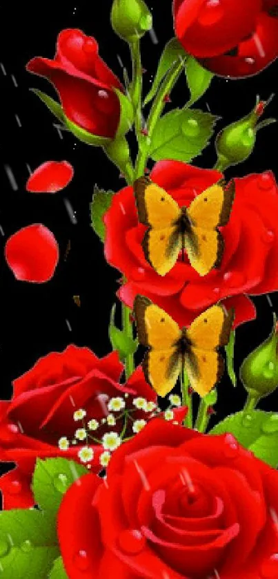 Red roses and butterflies on a black background, digital wallpaper for mobile.