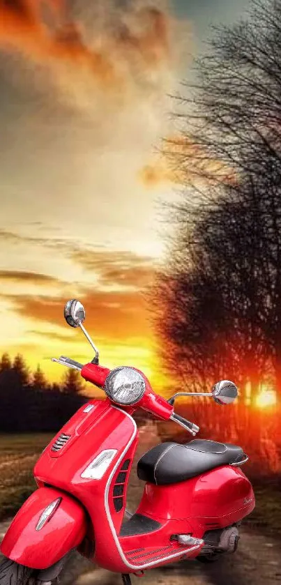 Vibrant red scooter at sunset along a tranquil countryside road.