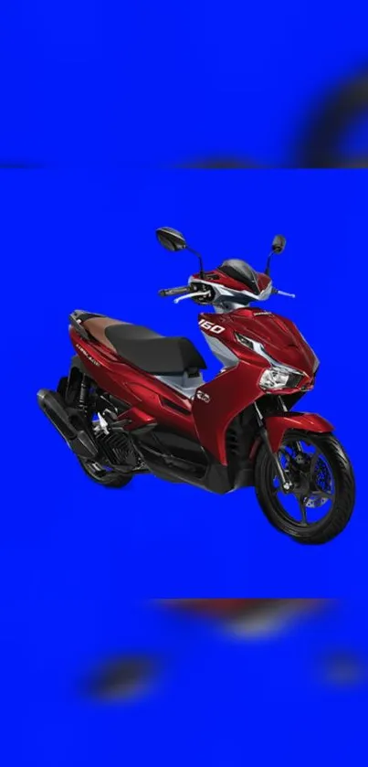 Red scooter on a vivid blue background wallpaper.