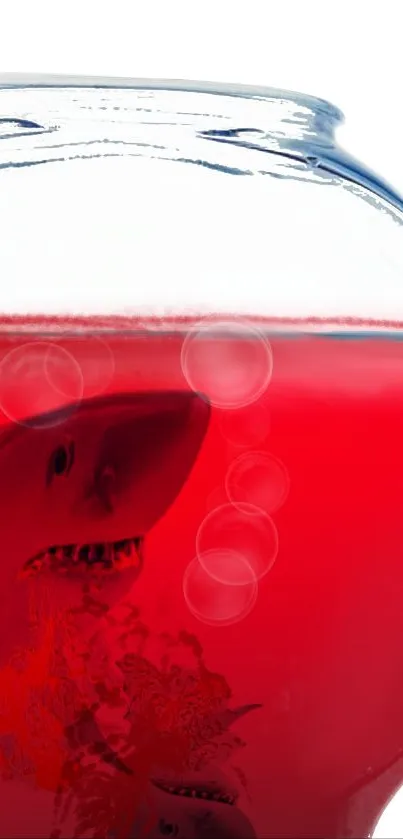 Shark silhouette in red liquid bowl, striking and vibrant.