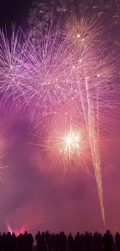Red Sky Pink Live Wallpaper