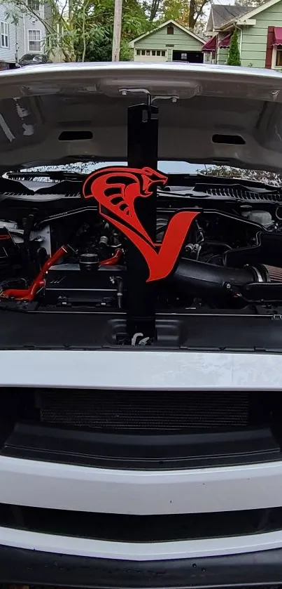 Closeup of car engine with red snake emblem.