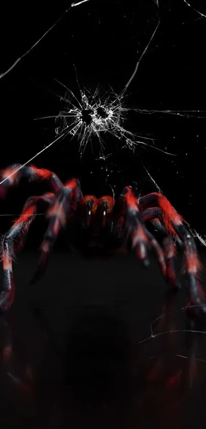 Red spider on a cracked black screen creating a dynamic and edgy wallpaper.