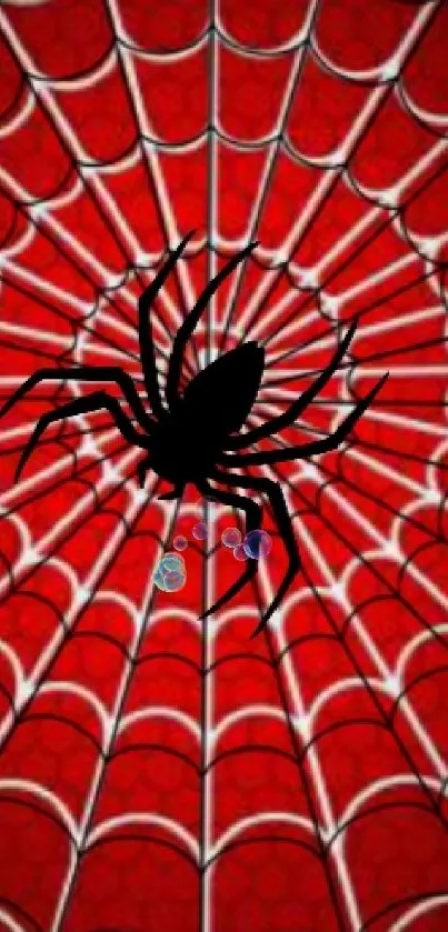 Black spider on red web in mobile wallpaper.