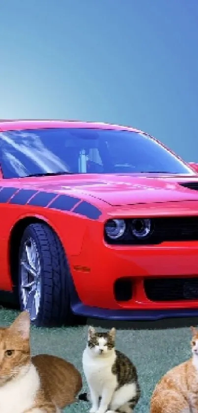 Wallpaper of red sports car, cats, and palm tree with blue sky.