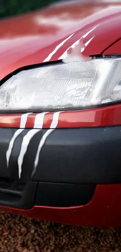 Close-up of a red sports car with white racing stripes.