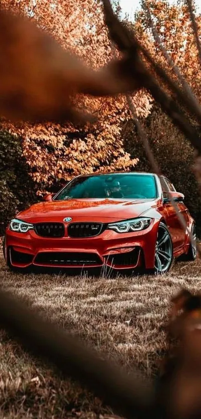 Red sports car parked among autumn leaves.