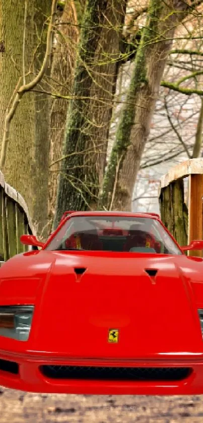 Red sports car on a wooden bridge in a forest.