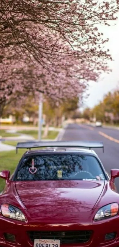 Red sports car under cherry blossoms on a quiet scenic road.