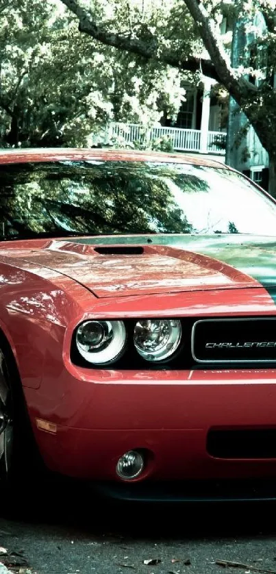 Vibrant red Dodge Challenger parked outside.