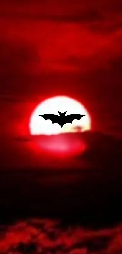 Silhouette of bat against a dramatic red sunset sky.