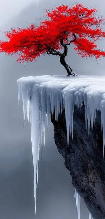 Red tree perched on an icy cliff edge.