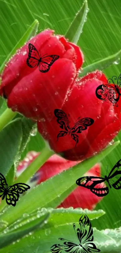 Red tulips with black butterflies and raindrops on a green background.