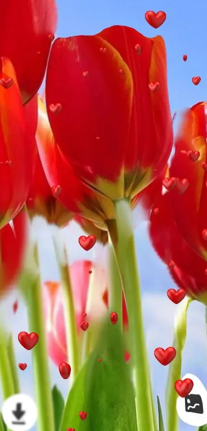 Red tulips and hearts fill the screen against a clear blue sky.