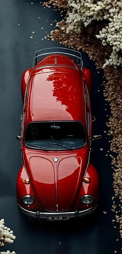 Red vintage car parked amidst autumn flowers from above.