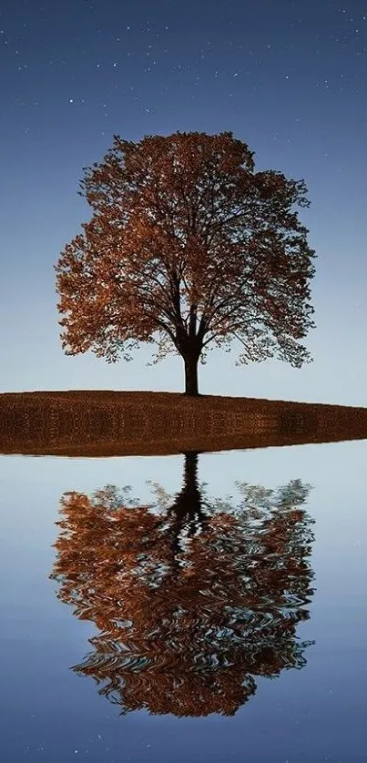 Solitary tree reflecting in water under a starry sky.