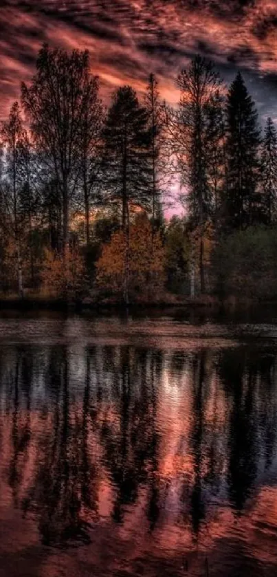 Reflective forest under a vibrant sunset sky with dark magenta hues.